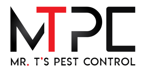 Kauai-Termite-Mr-Ts-Pest-Control-1