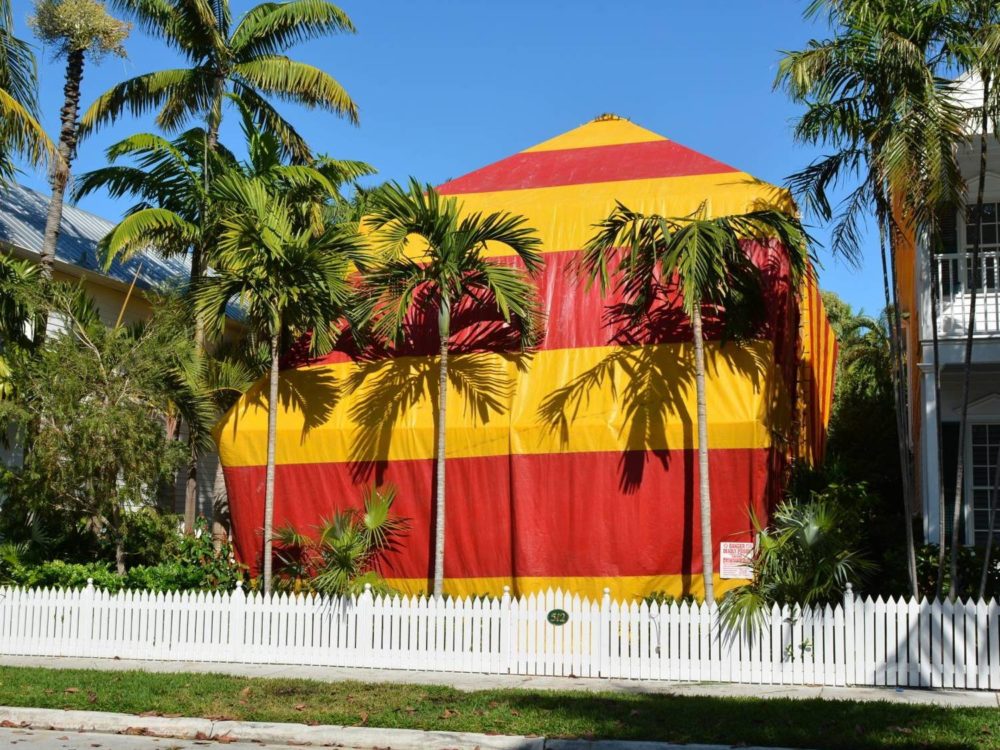 Kauai-Termite-Termite-Fumigation-3