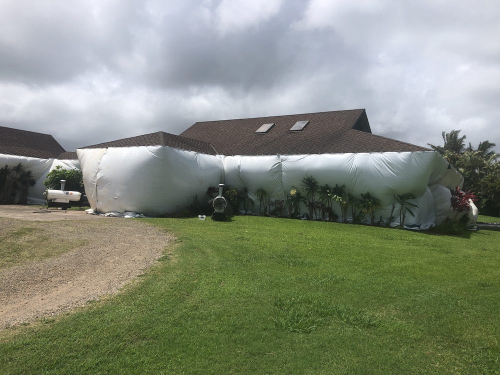 Kauai-Termite-Termite-Heat-Treatment-2
